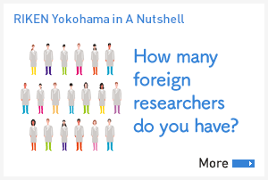 [Us in A Nutshell]How many foreign researchers do you have?