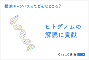 [横浜キャンパスってどんなところ？]ヒトゲノムの解読に貢献